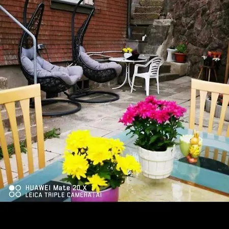 玫瑰园 * Titisee-Neustadt