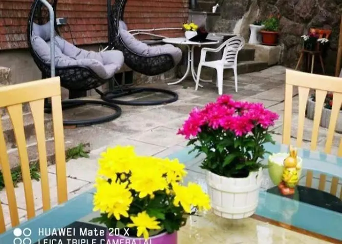 玫瑰园 * Titisee-Neustadt